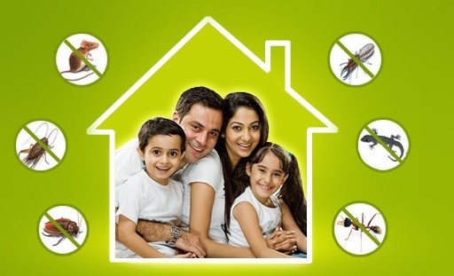 Residential Pest Control in Raipur