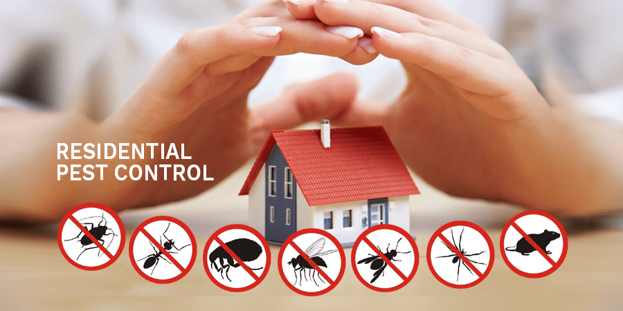 Residential Pest Control Service In Raipur